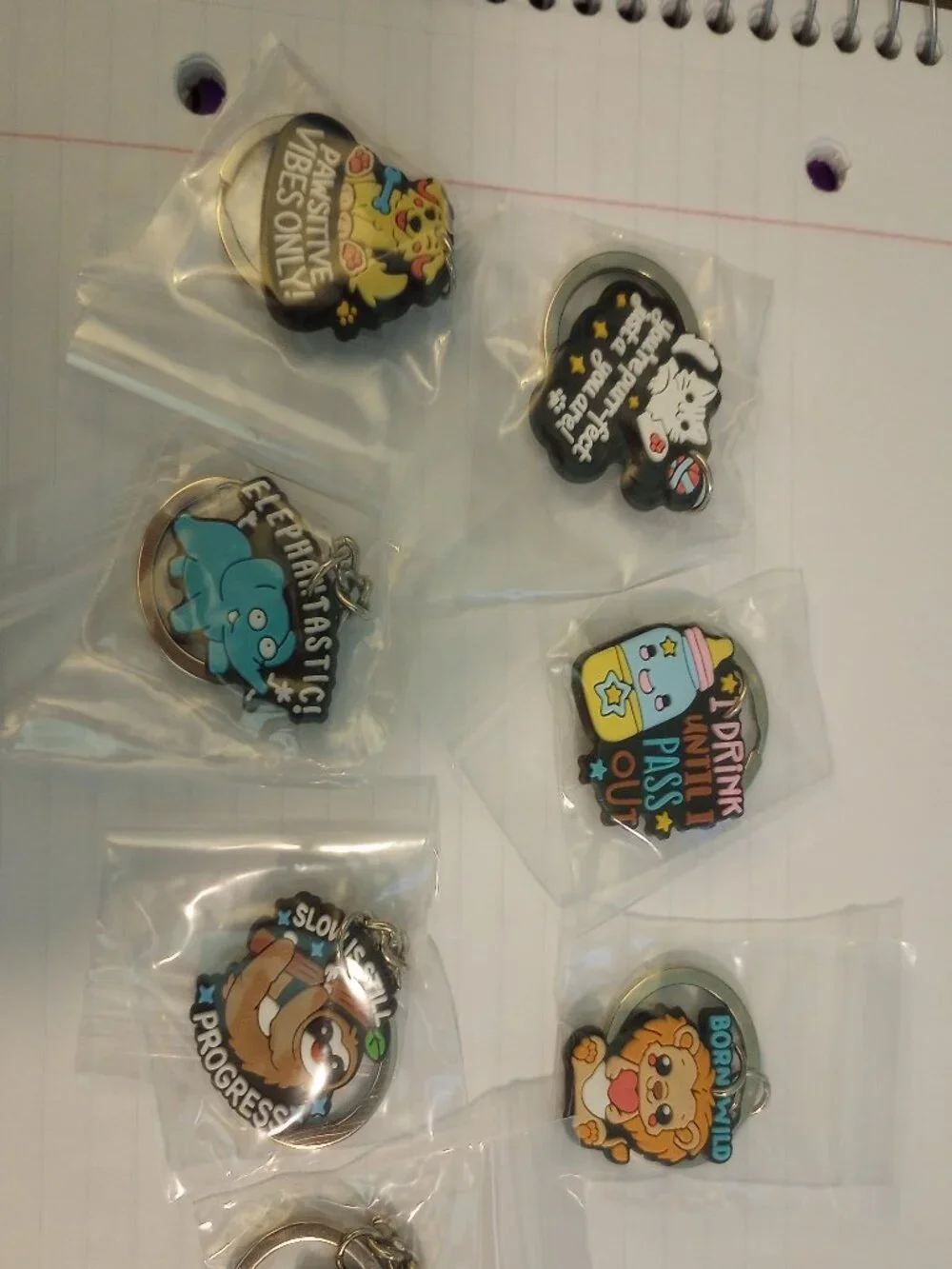 NWOT 7 motivational/funny keychains